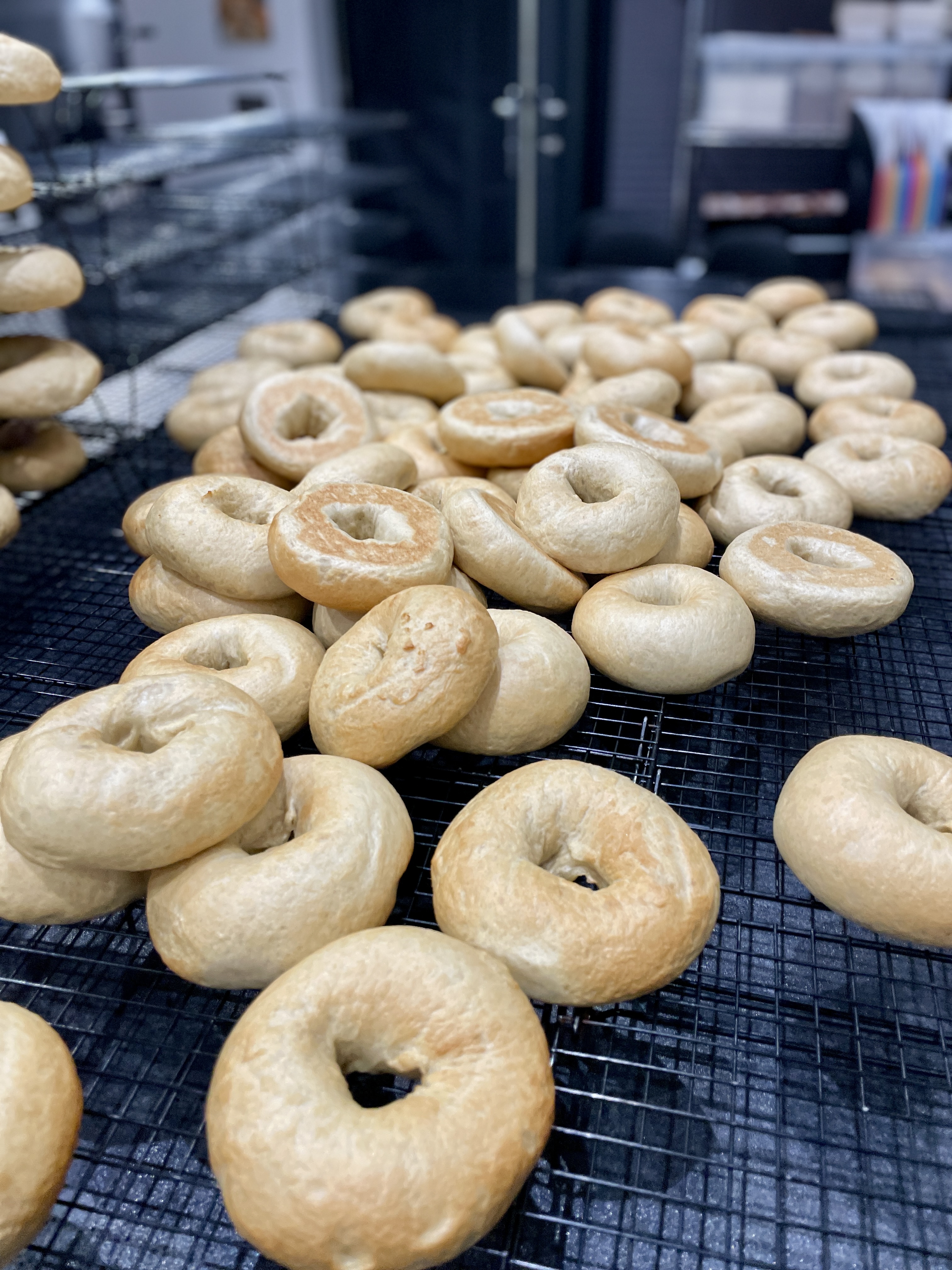 Freshly baked plain bagels cooling on racks