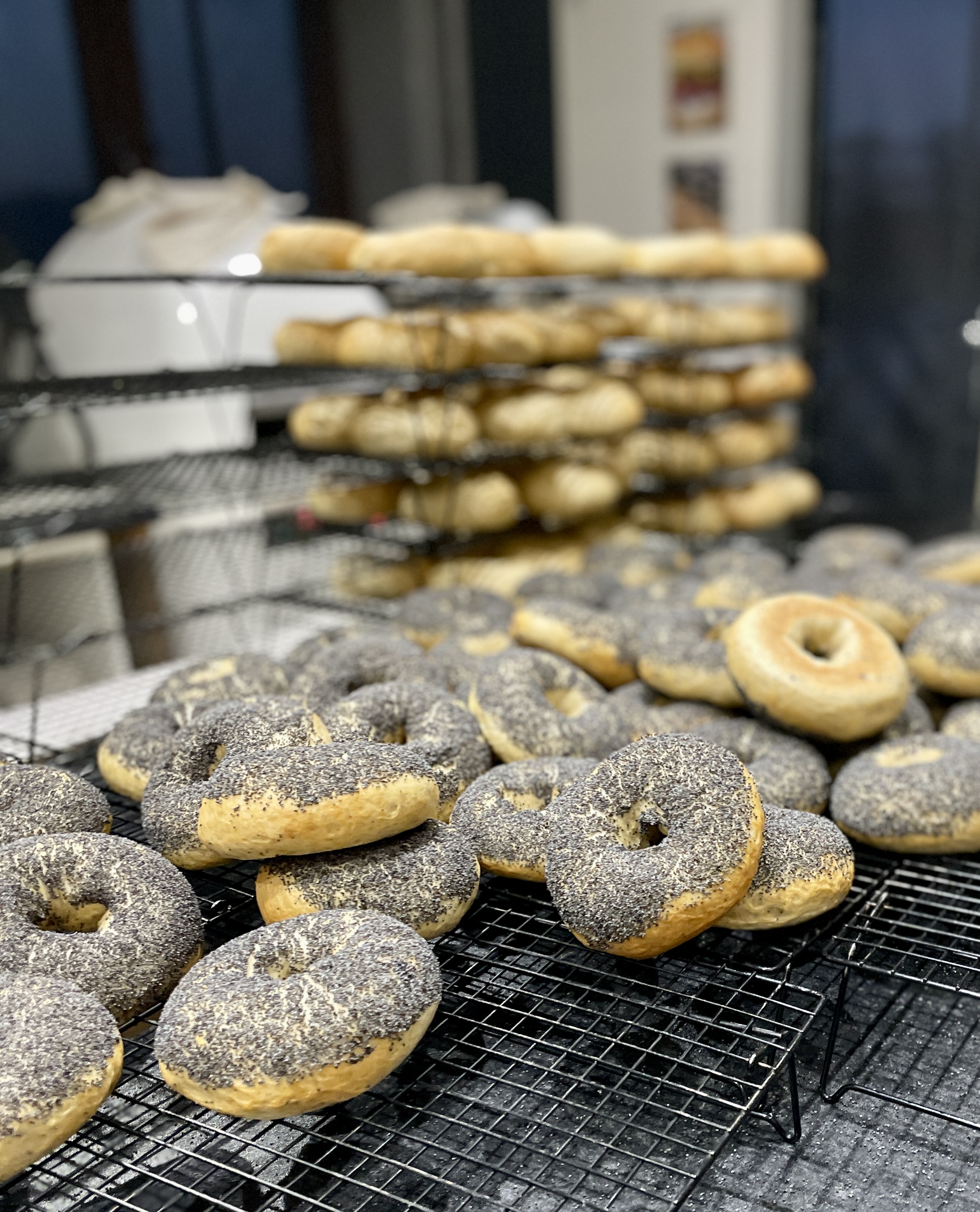 A batch of handmade bagels cooling in our bakery
