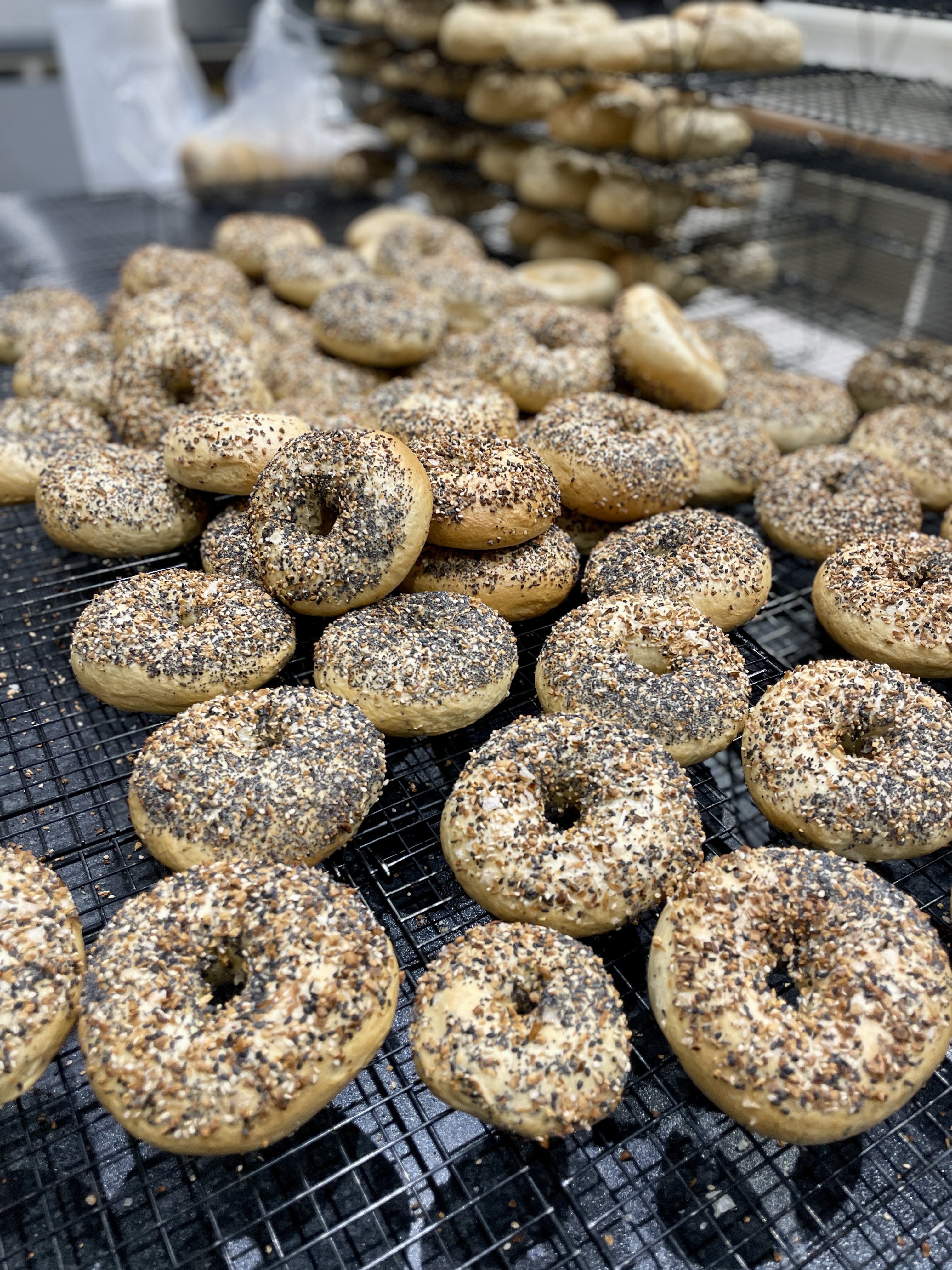 Everything Bagels